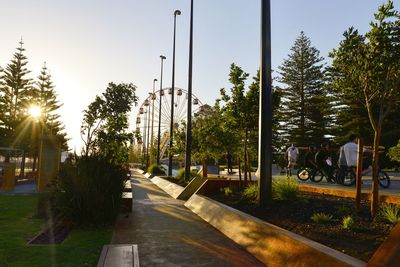 Trees in city against sky