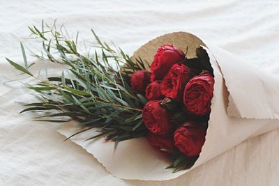 Close-up of red flowers