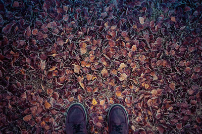 Low section of woman standing on ground