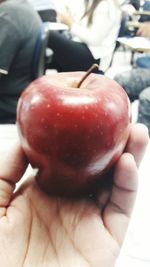 Close-up of hand holding apple