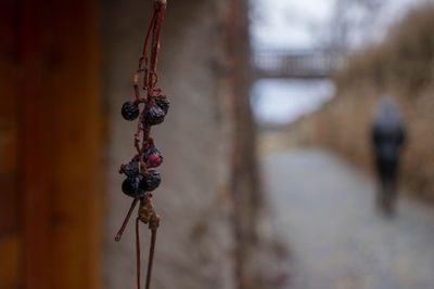 Close-up of chain hanging outdoors
