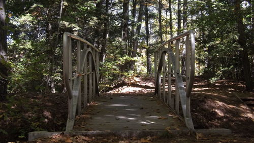 View of bridge in forest