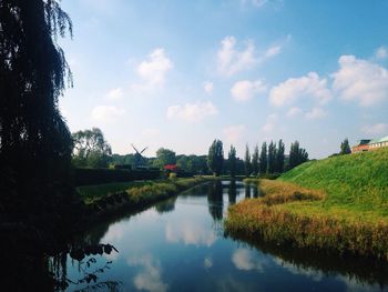 Reflection of trees in water