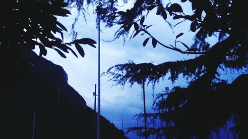 Low angle view of silhouette trees against sky