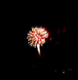 Close-up of illuminated firework display against black background