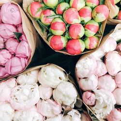 Full frame shot of flowers in market