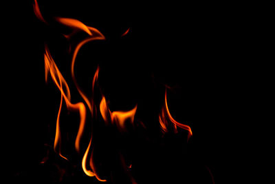 Close-up of bonfire at night