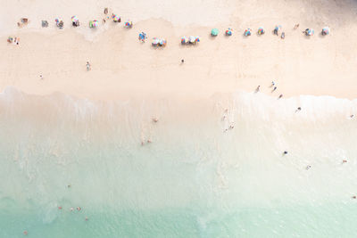 Aerial top view small people group tourist playing in the sea on vacation and umbrella on the beach