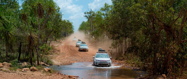 Cars on road amidst trees