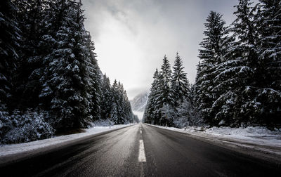 Road passing through forest