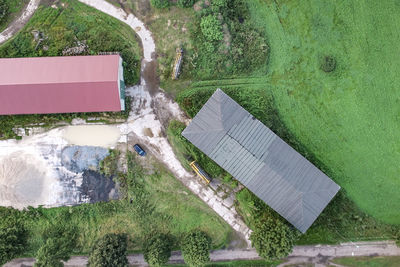 High angle view of grass and trees