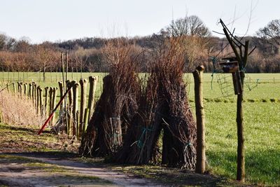 Wooden posts on field against sky