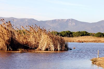 Scenic view of lake against sky