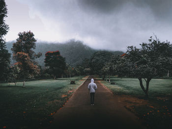 Rear view of man standing on road