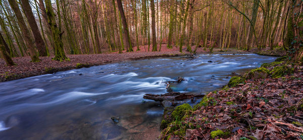 Small river in the forest, long exposure