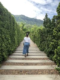 Rear view of woman walking on steps