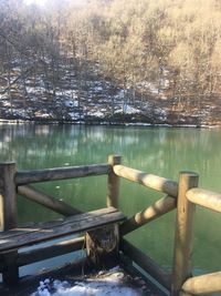 Scenic view of lake in forest