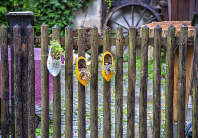 Close-up of parrot on metal fence