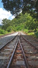 Railroad tracks along trees and plants