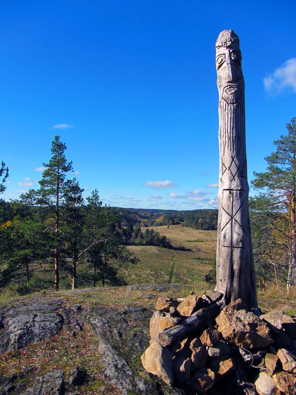 tree, blue, clear sky, nature, outdoors, tranquil scene, day, sky, tranquility, scenics, beauty in nature, no people, landscape, architecture, cactus