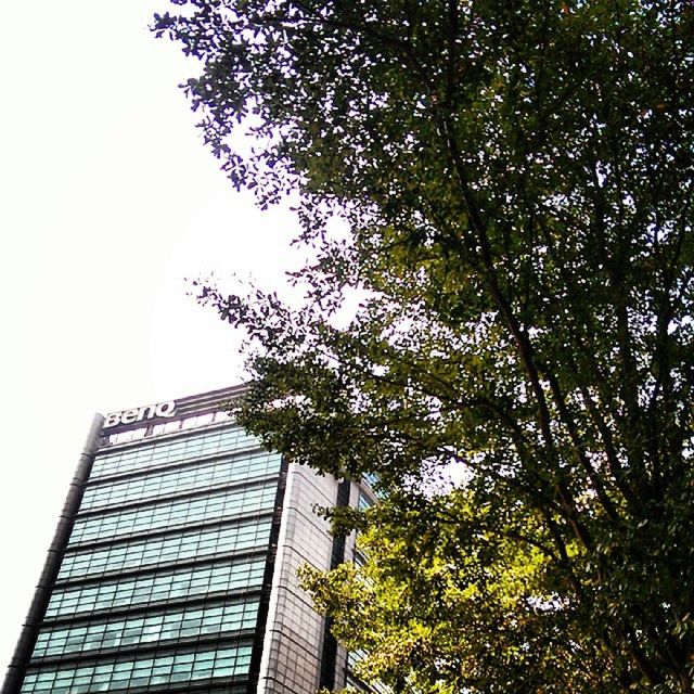 low angle view, architecture, built structure, building exterior, tree, clear sky, growth, building, branch, sky, modern, tall - high, city, office building, day, outdoors, no people, tower, skyscraper, residential building