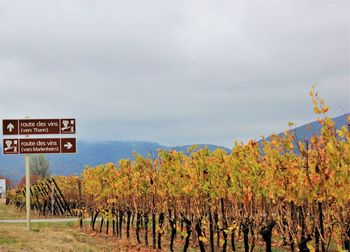 Information sign on field against sky