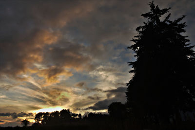 Low angle view of trees against cloudy sky