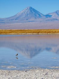 Scenic view of lake with mountain range in background