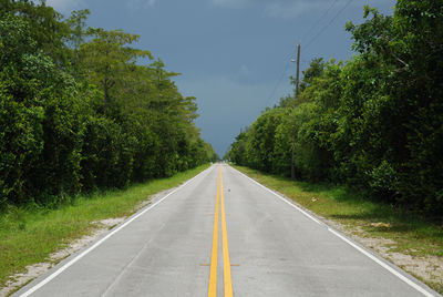 Road amidst trees against sky