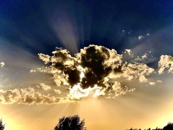 Low angle view of sunlight streaming through silhouette tree during sunset