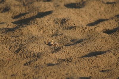 High angle view of shadow on sand