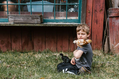 Cute boy sitting with chickens on grass