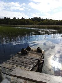 High angle view of pier over lake against sky