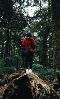 Rear view of man standing in forest