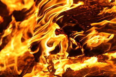 Close-up of fire in the dark