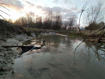 Bare trees by lake against sky