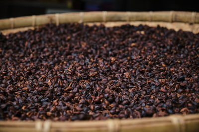 Close-up of coffee beans