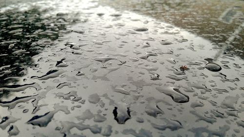 Close-up of wet surface