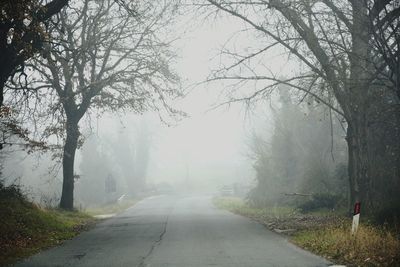 Road amidst trees and plants