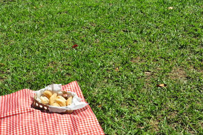 Full frame shot of mushrooms in grassy field