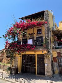 Low angle view of flowering plant against building