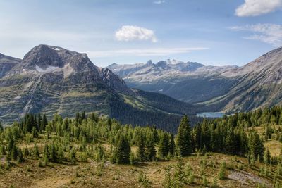 Burstall pass, banff national park, ab, canada