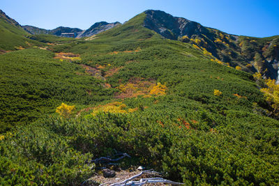 High angle view of trees and mountains against sky