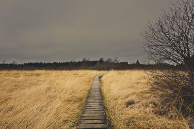 Dirt road amidst field against sky