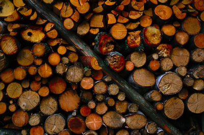 Full frame shot of logs in forest