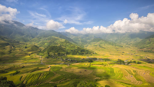 Scenic view of agricultural field against sky