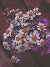 Close-up of flowers