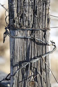 Close-up of barbed wire on wooden post