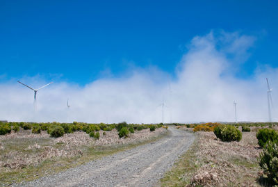 Scenic view of road against sky