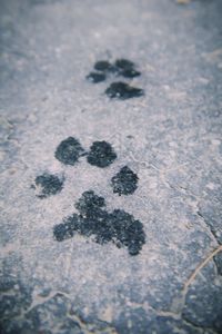 High angle view of footprints on snow